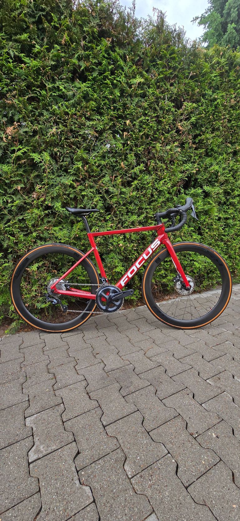 Used Focus IZALCO MAX 8.8 2021 2021 Road & Gravel, Red — image 1 of 8