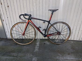 Brugt Giant TCR Advanced SL Team Frameset 2026 Frameset 2026 Road & Gravel — billede 4 af 23