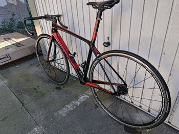Brugt Giant TCR Advanced SL Team Frameset 2026 Frameset 2026 Road & Gravel — billede 19 af 23
