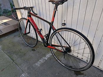 Brugt Giant TCR Advanced SL Team Frameset 2026 Frameset 2026 Road & Gravel — billede 23 af 23