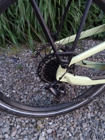 Used Specialized Specialized Custom SRAM NX 2025 Urban, Green — image 3 of 6