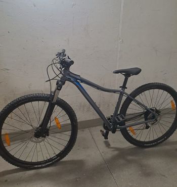 Used Cannondale Trail Women's 4 2023 2023 MTB