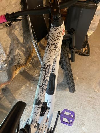 Used CUBE STEREO ONE55 C:62, RACE 29 2025 2025 Mountainbike, White, 29 — image 4 of 8