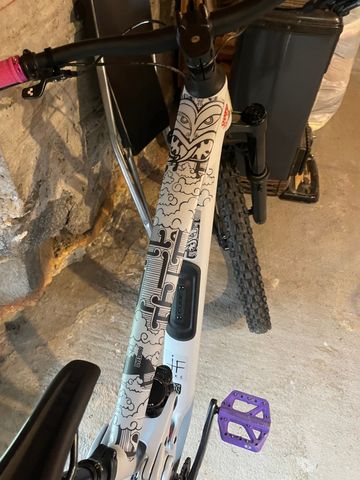 CUBE STEREO ONE55 C:62, RACE 29 2025 2025 MTB usato