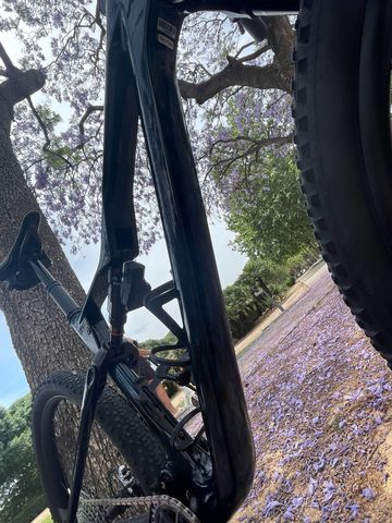 Used Orbea Oiz Frameset 2026 Mountainbike, Blue — image 11 of 17