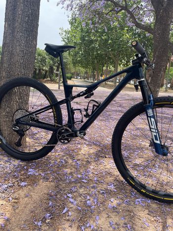 Used Orbea Oiz Frameset 2026 MTB