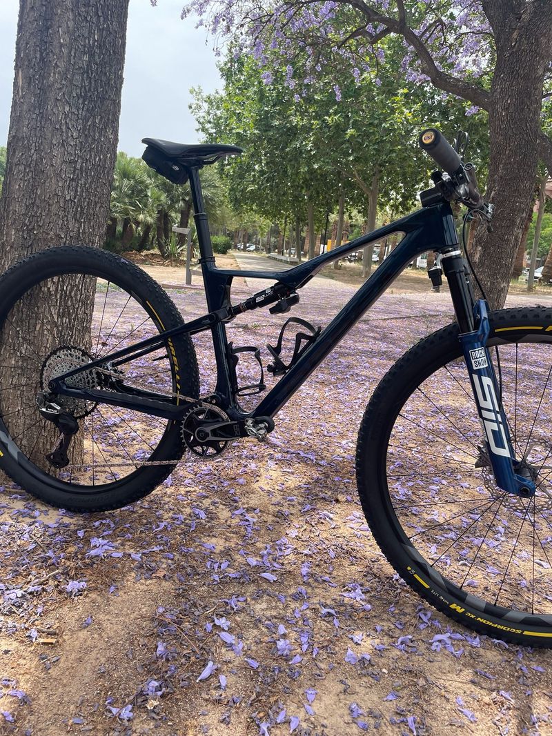 Used Orbea Oiz Frameset 2026 MTB