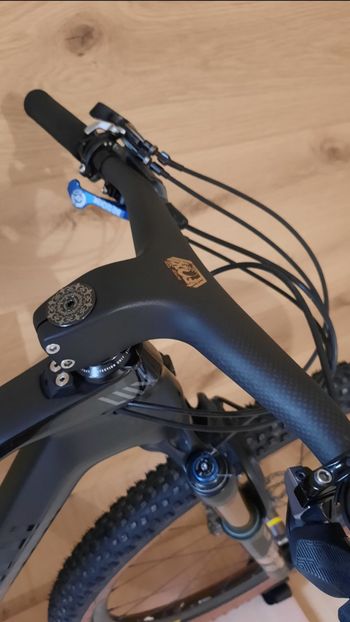 Used Canyon Lux World Cup CFR LTD 2022 2022 Mountainbike, Black, 29 — image 4 of 8