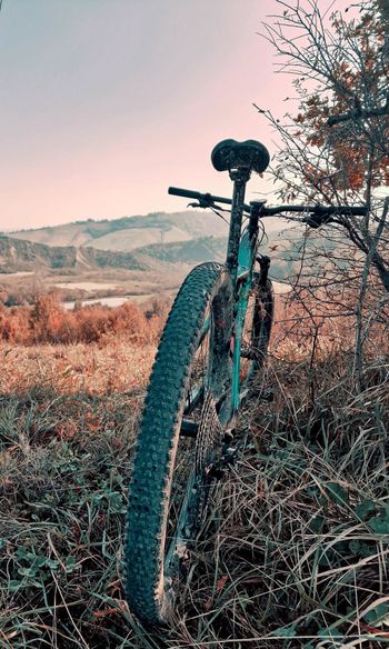 Used Cannondale Scalpel Carbon 4 2024 2024 Mountainbike, Green, 29 — image 4 of 4