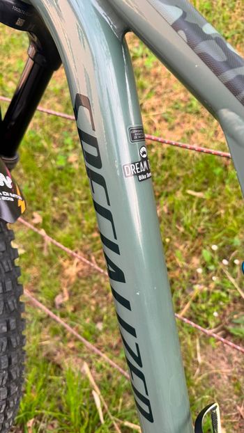 Used Specialized Stumpjumper Comp Alloy - SRAM NX Eagle, Fox Rhyhm 2022 2022 Mountainbike, Green, 29 — image 16 of 18