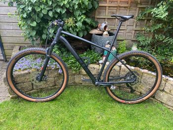 Used CUBE REACTION PRO 2023 2023 MTB