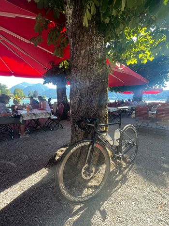 Used Focus IZALCO MAX 8.8 2022 2022 Road & Gravel, Black — image 4 of 5