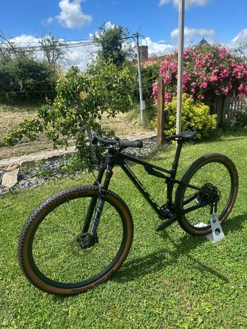 Used SUNN SHAMANN XC S1 2025 2025 Mountainbike — image 2 of 5