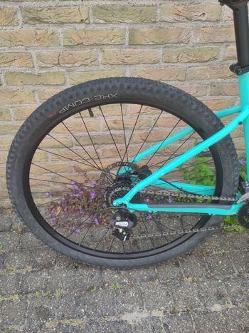 Used Trek Marlin 5 Gen 2 2023 2023 Mountainbike, Green, 27.5 — image 8 of 18