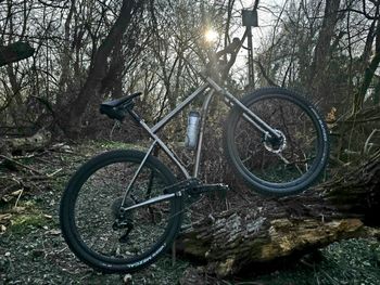 Used Leon Torrentibus Explorator 2021 Road & Gravel — image 3 of 9