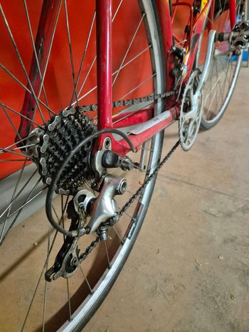 Used dalla rosa Dalla rosa Custom Other Campagnolo 1990 Road & Gravel, Red — image 2 of 4