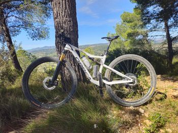 Used Orbea OIZ M PRO 2022 2022 MTB