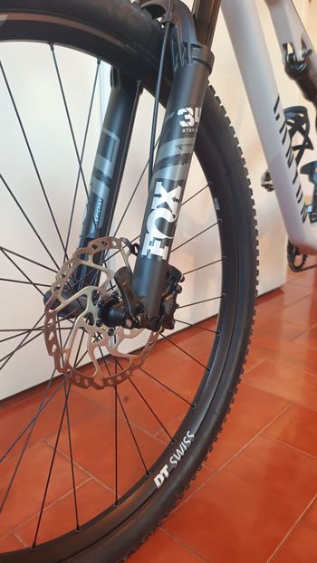 Used Canyon Lux Trail CF 6 2023 2023 Mountainbike, Gris claro — image 5 of 6