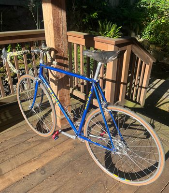Used De Rosa De Rosa Road Bike From 1980's 1984 Road & Gravel
