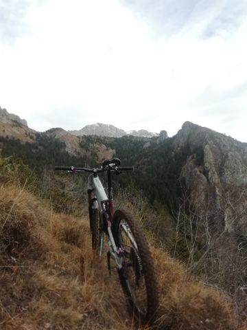 Used Orbea RALLON M10 2018 2018 Mountainbike, White, 29 — image 6 of 6