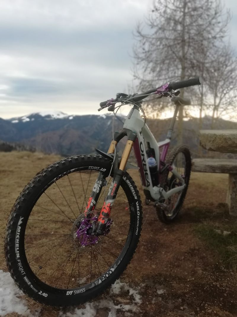 Used Orbea RALLON M10 2018 2018 Mountainbike, White, 29 — image 4 of 6