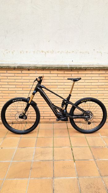 Used Orbea WILD M10 2025 2025 Mountainbike, Black, 29 — image 2 of 10