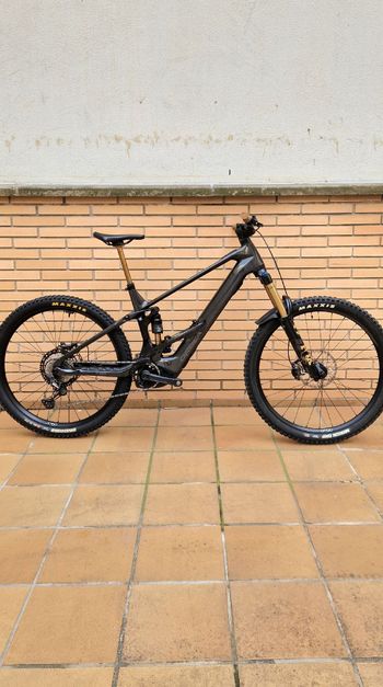 Used Orbea WILD M10 2025 2025 MTB
