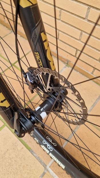 Used Orbea WILD M10 2025 2025 Mountainbike, Black, 29 — image 6 of 10