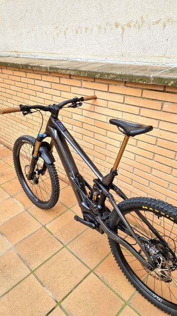 Used Orbea WILD M10 2025 2025 Mountainbike, Black, 29 — image 5 of 10