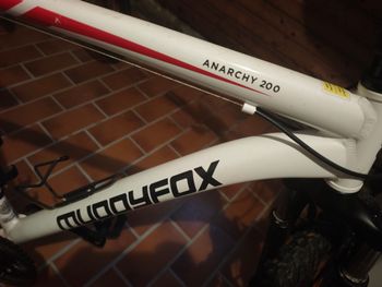 Used Muddyfox Anarchy200 2024 Mountainbike — image 4 of 4