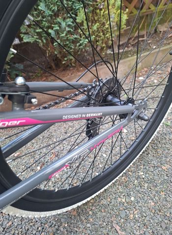 Used Bergsteiger Bergsteiger Custom Shimano Tourney 2025 Mountainbike — image 4 of 6