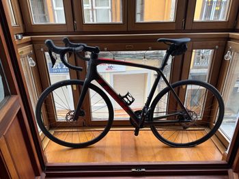 Used Trek Émonda SL 5 2023 2023 Road & Gravel