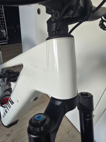 Used Canyon Strive:ON Sram Eagle Transmission GX 2024 Mountainbike, White — image 5 of 10