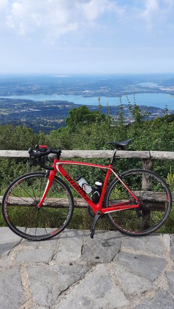 Used Specialized Tarmac Shimano Dura Ace 2013 Road & Gravel