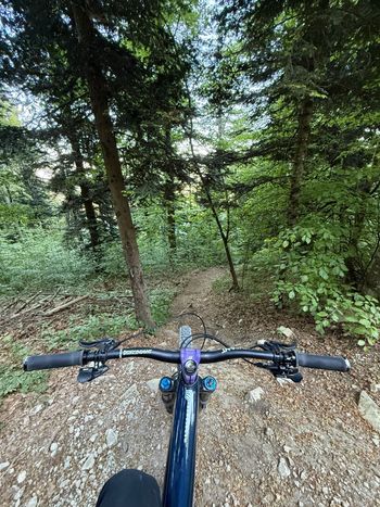 Used Santa Cruz Megatower Other SRAM - Mountainbike 2024 Mountainbike — image 3 of 3