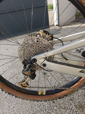 Used Scott Patron ST eRIDE 910 2024 2024 Mountainbike, Light Gray, 29 — image 3 of 5