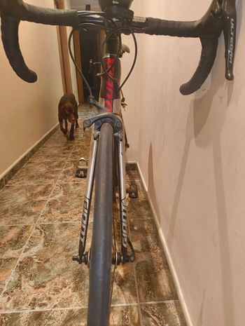 Used Giant TCR Advanced 2 2021 2021 Road & Gravel, Light Gray — image 4 of 4