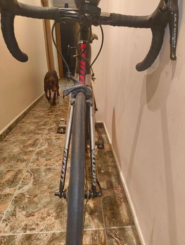 Brugt Giant TCR Advanced 2 2021 2021 Road & Gravel — billede 4 af 4