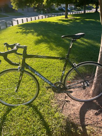 Used Specialized Roubaix Shimano Dura Ace 2012 Road & Gravel, Black — image 2 of 10