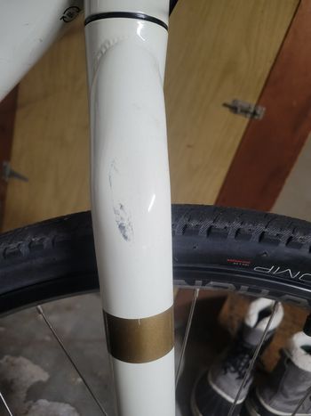 Used Trek Verve 1 Disc Lowstep 2022 2022 Urban, White — image 6 of 11