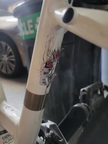 Used Trek Verve 1 Disc Lowstep 2022 2022 Urban, White — image 7 of 11