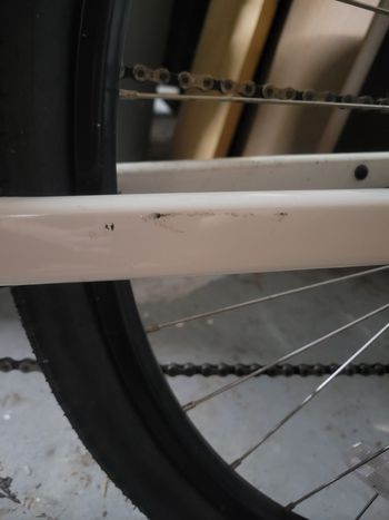 Used Trek Verve 1 Disc Lowstep 2022 2022 Urban, White — image 9 of 11