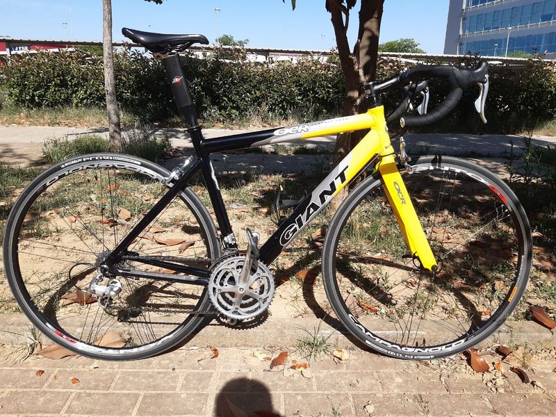 Gebrauchtes Giant Once Other Campagnolo 1999 Road & Gravel