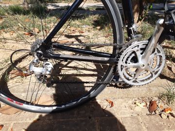 Gebrauchtes Giant Once Other Campagnolo 1999 Road & Gravel, Schwarz — Bild 3 von 23