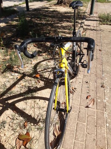 Gebrauchtes Giant Once Other Campagnolo 1999 Road & Gravel, Schwarz — Bild 7 von 23