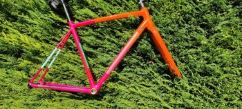 Used Specialized Crux DSW Frameset 2025 Frameset 2025 Road & Gravel