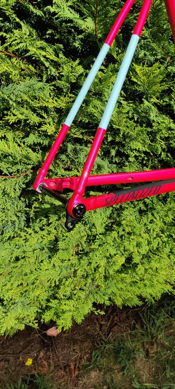 Used Specialized Crux DSW Frameset 2025 Frameset 2025 Road & Gravel, Orange — image 2 of 6