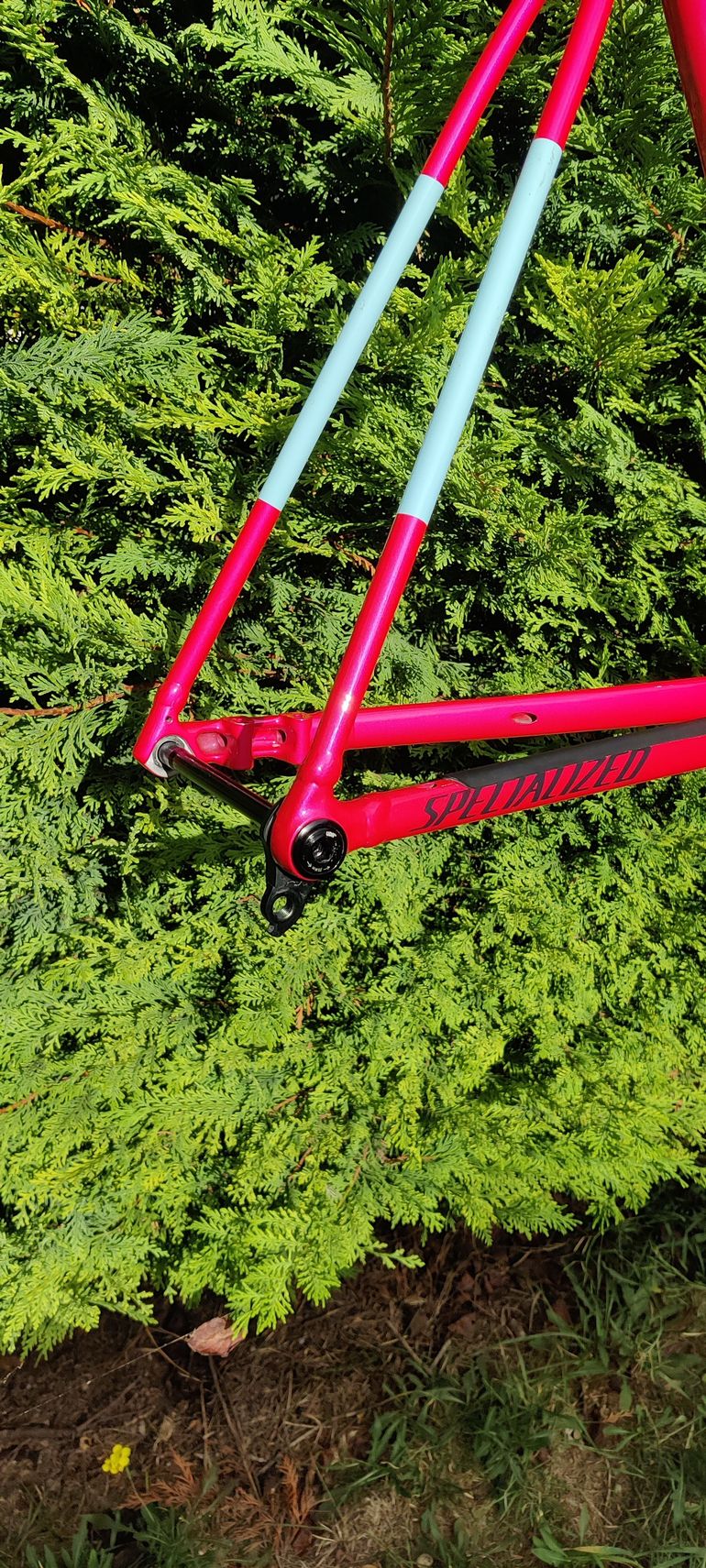 Used Specialized Crux DSW Frameset 2025 Frameset 2025 Road & Gravel, Orange — image 2 of 6