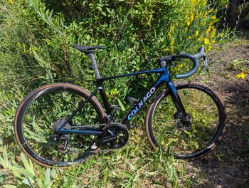 Used Colnago V5Rs Shimano Dura Ace Di2 2026 Frameset 2026 Road & Gravel