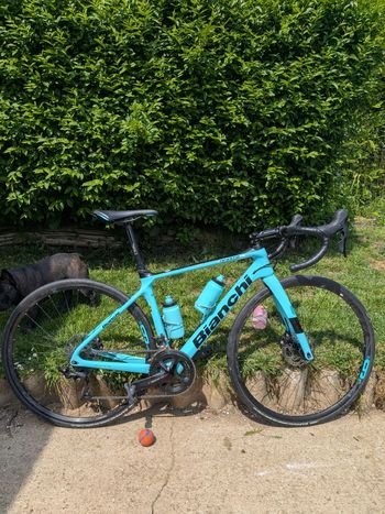 Used Bianchi Infinito XE 105 2021 2021 Road & Gravel — image 3 of 3